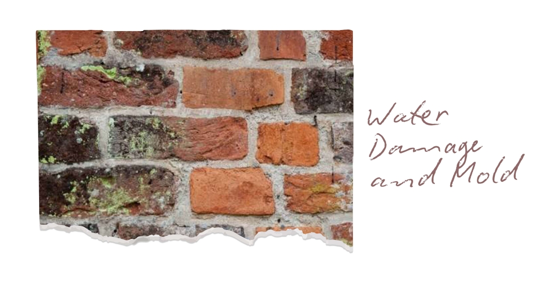 environment conducive to mold